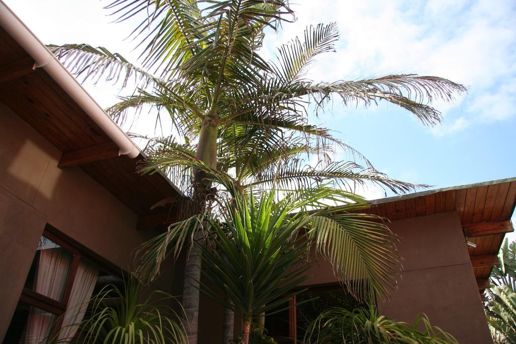 Dunedin Star Guesthouse Swakopmund Esterno foto
