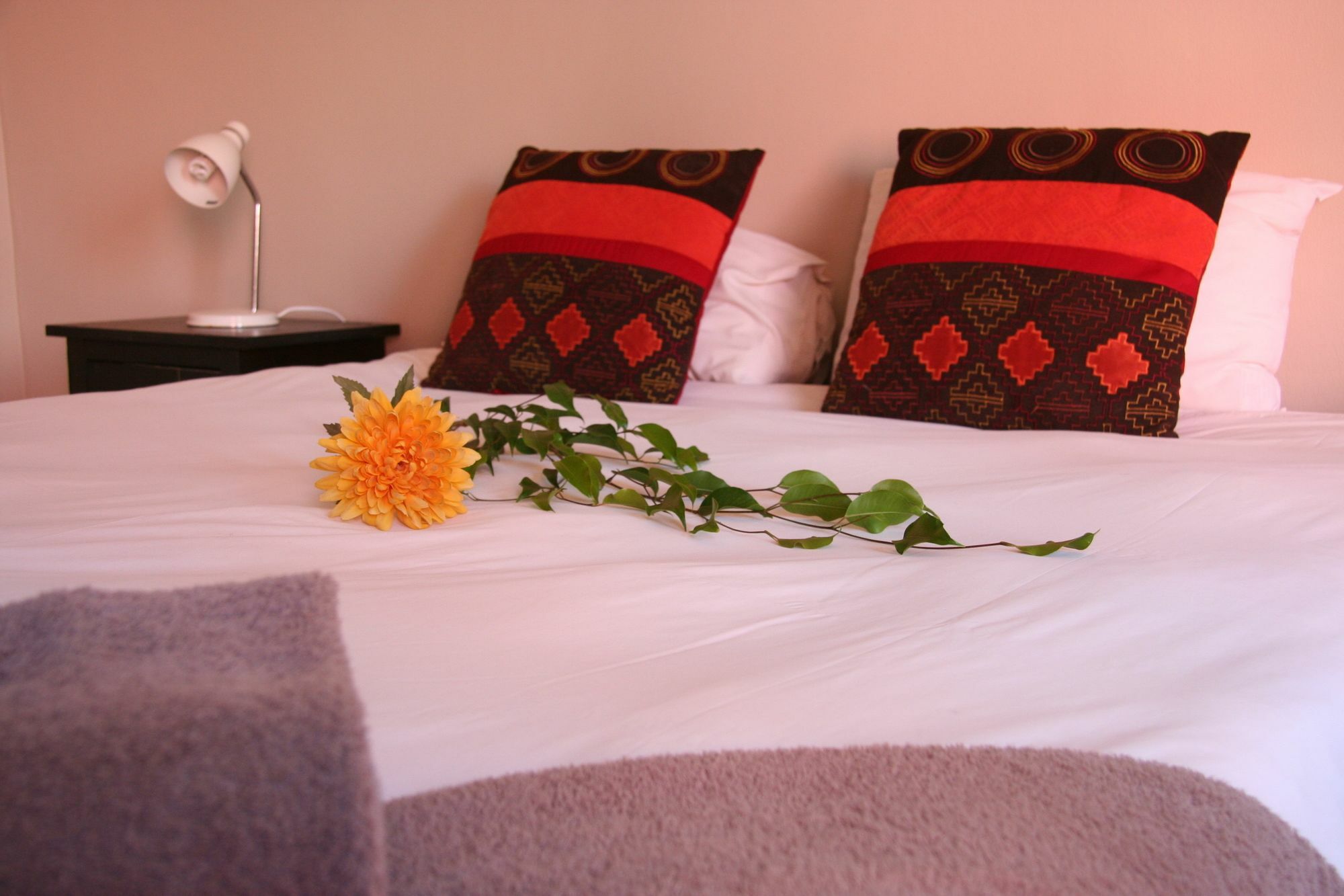 Dunedin Star Guesthouse Swakopmund Esterno foto